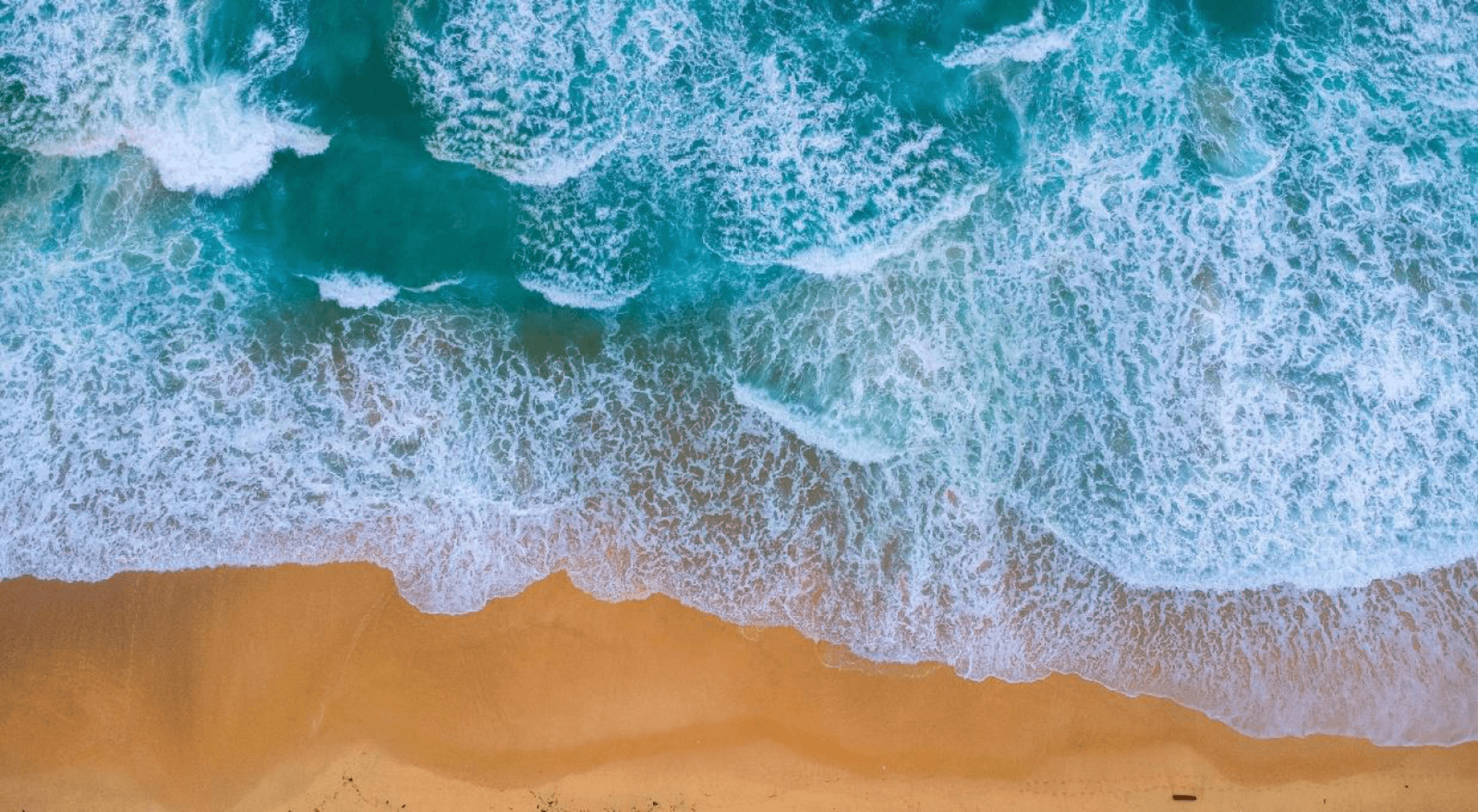 Red Sea shoreline aerial